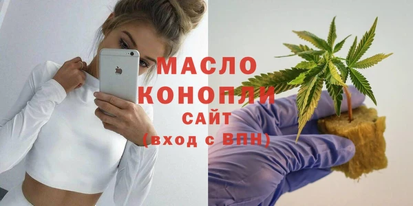 амф Гусев