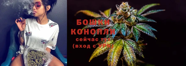 амф Гусев