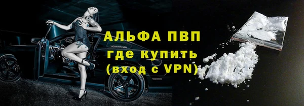 амф Гусев