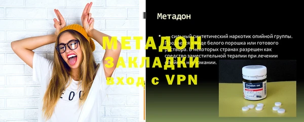 амф Гусев