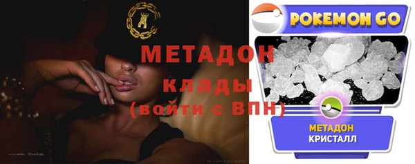 амф Гусев