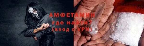 амф Гусев