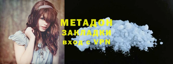 амф Гусев