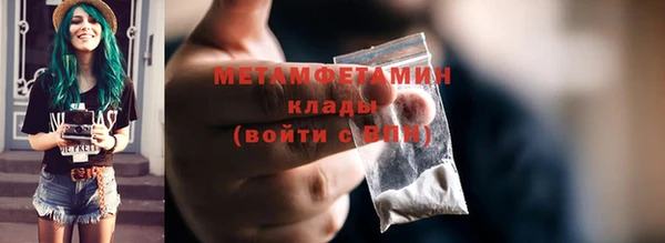 амф Гусев