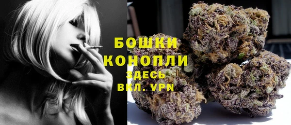 амф Гусев