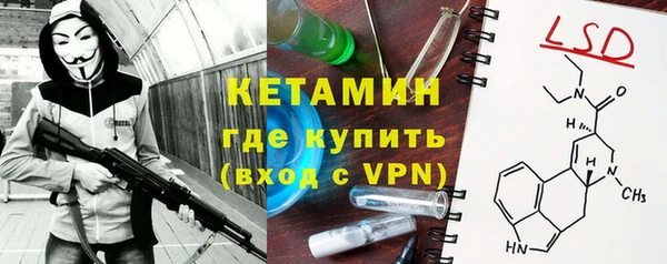 амф Гусев