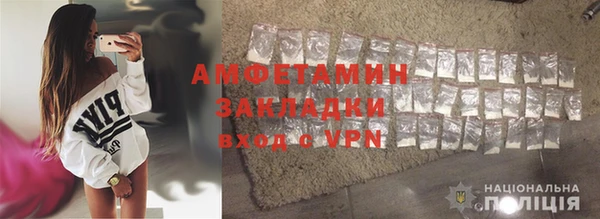 амф Гусев