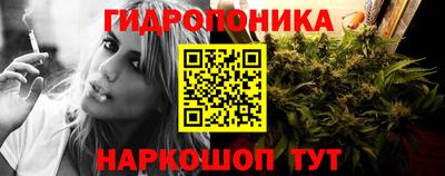 ECSTASY Тара