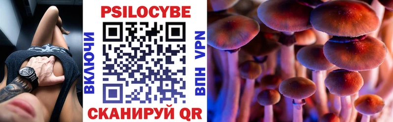 Галлюциногенные грибы мухоморы  Дальнегорск 