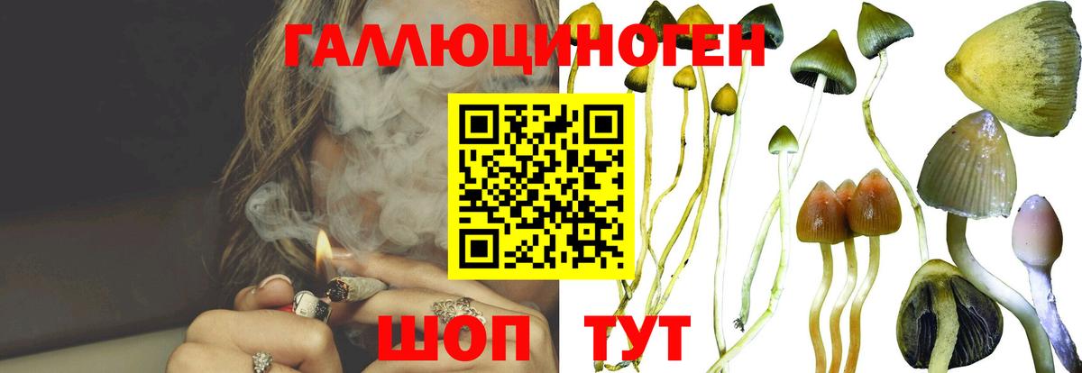 Дальнегорск  Псилоцибиновые грибы мухоморы  наркота  Вход с VPN 